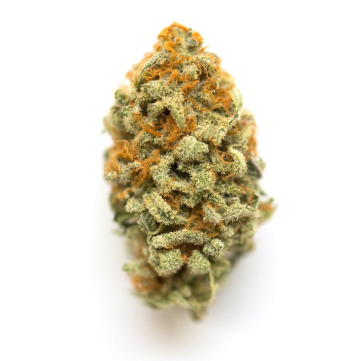 banana hammock strain