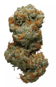 Grapefruit Strain